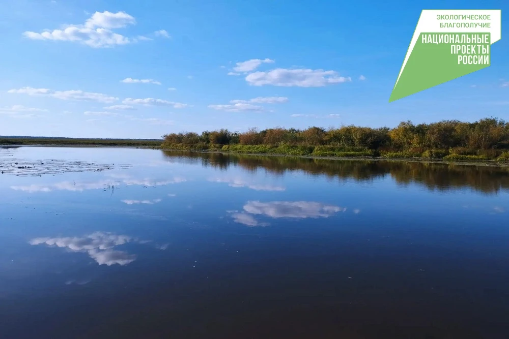 Экологическая акция «Вода России» сохраняет берега