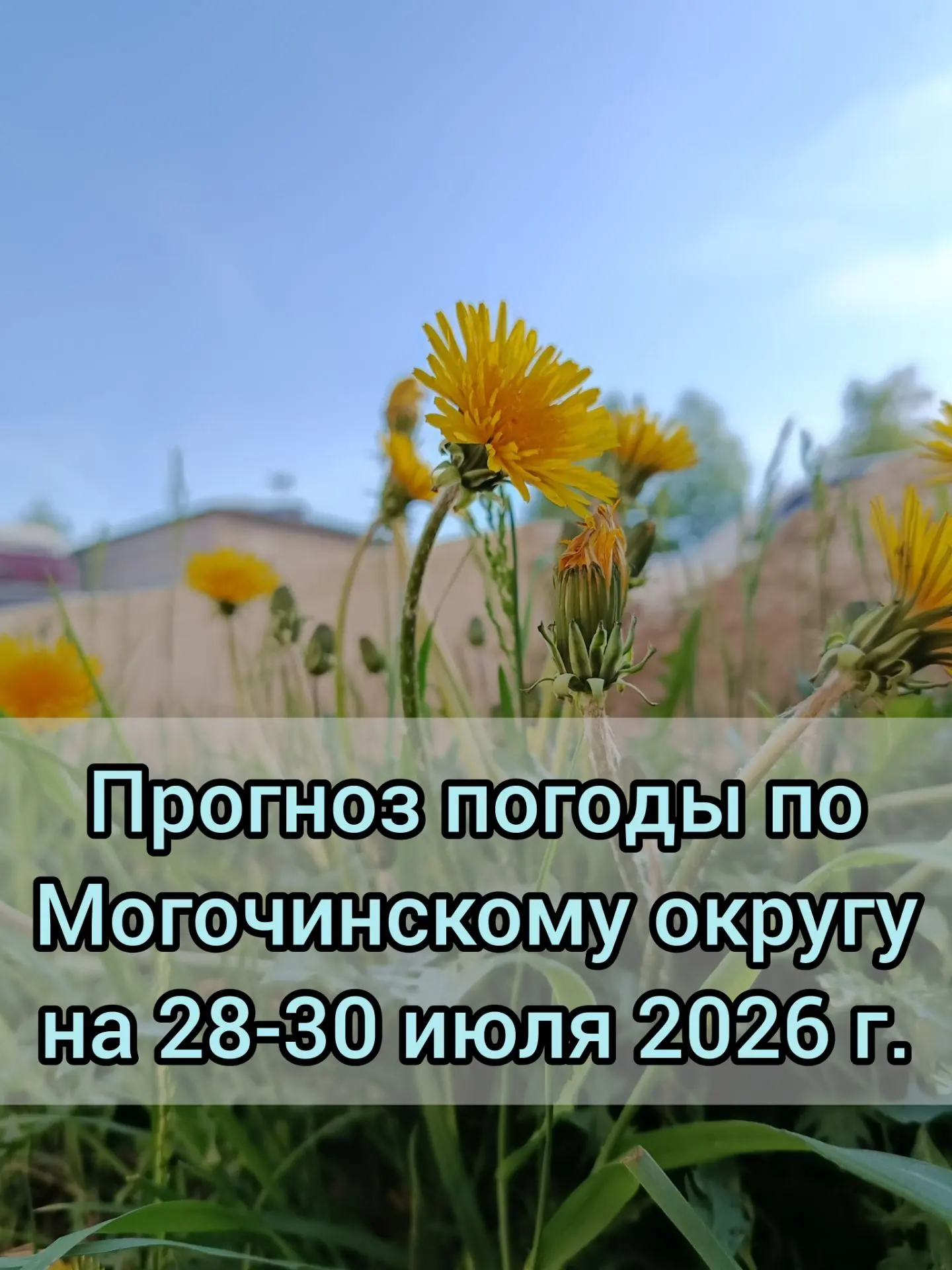 🌥️Прогноз погоды по Могочинскому округу на 28-30 июля 

📆28 июля кратковременный 🌧️дождь, 🌩️гроз