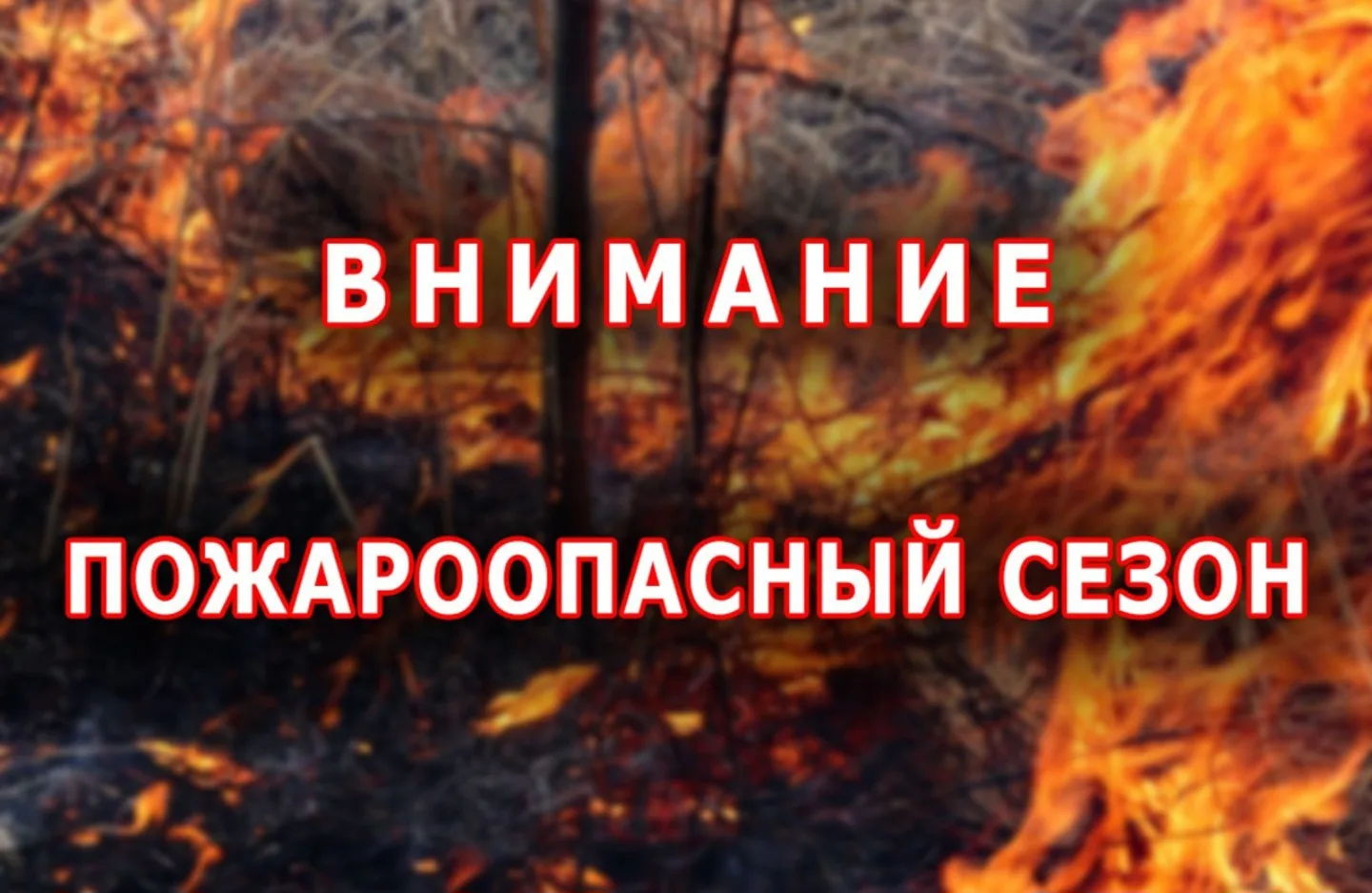 🔥Пожароопасный сезон в Республике Дагестан установлен с 1 апреля 2026 года. (постановление Правитель