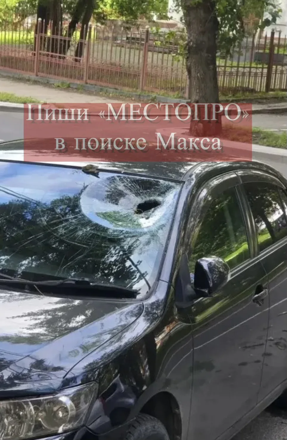 Прилетело откуда не ждали: падающие ветви пробили лобовухи автомобилей