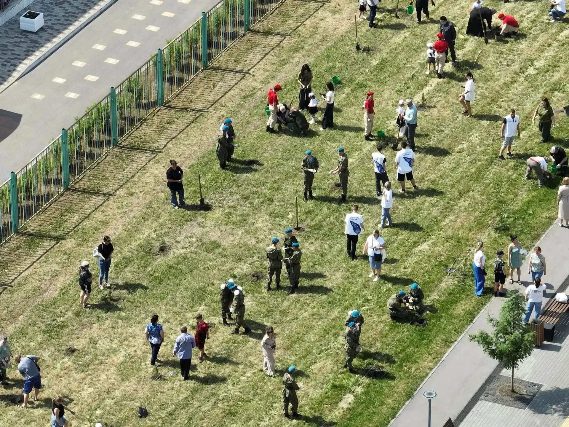 В квартале Сосновый, рядом с аллей Льва Ковылина, высадили хвойную аллею