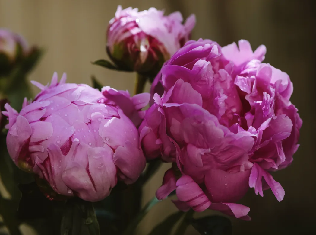 Всем доброго утречка 🌺