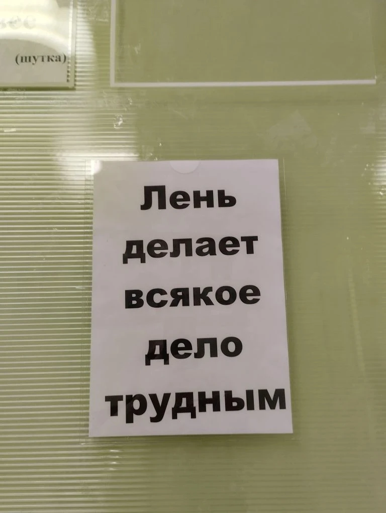 Все мы иногда ленимся, и это нормально!🦥  Но лень не должна становиться образом жизни, ведь бездейст