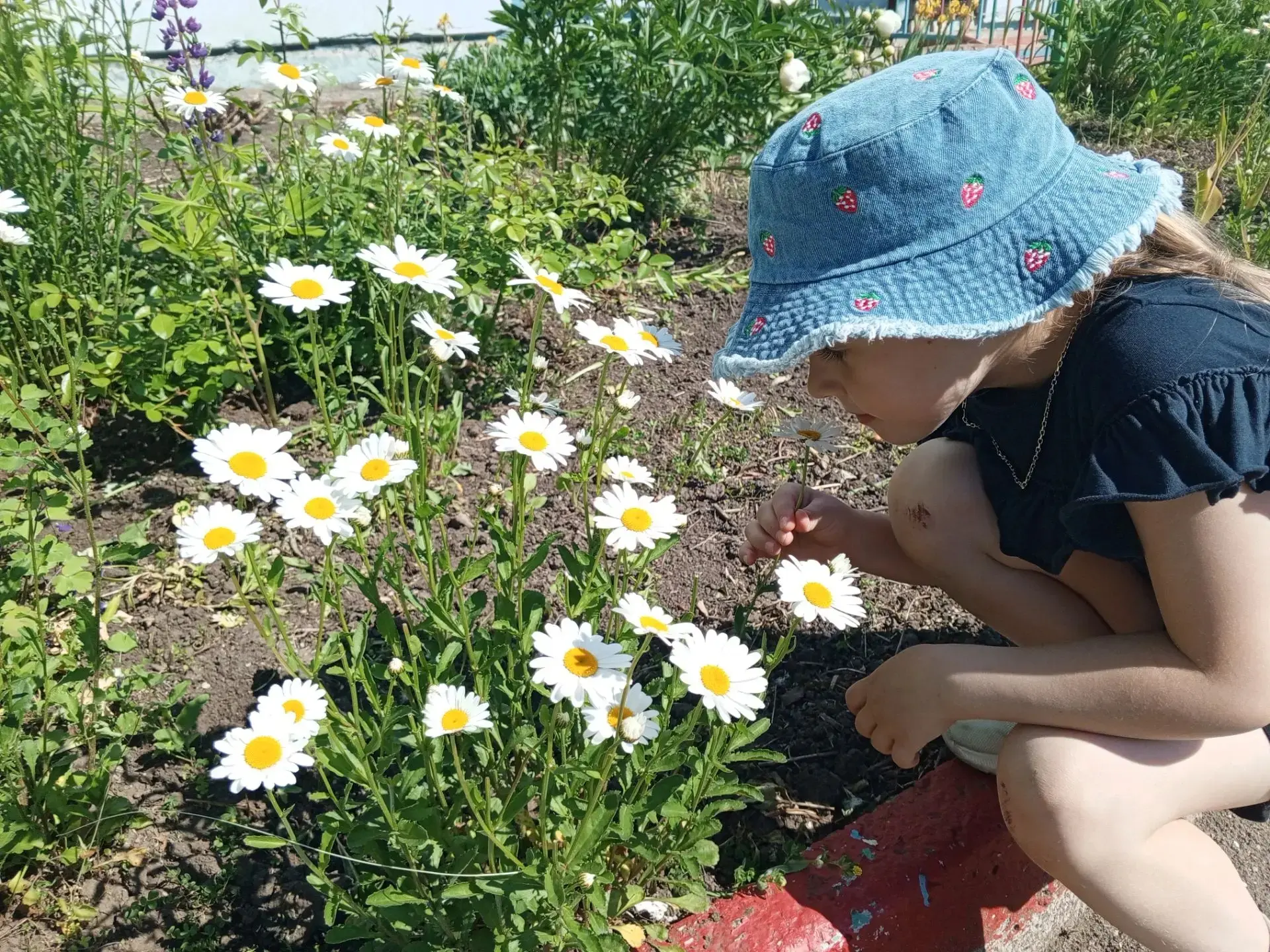 Хороши ромашки! 🌼

Летняя красота этих простых и нежных цветов никого не оставляет равнодушным. Дет