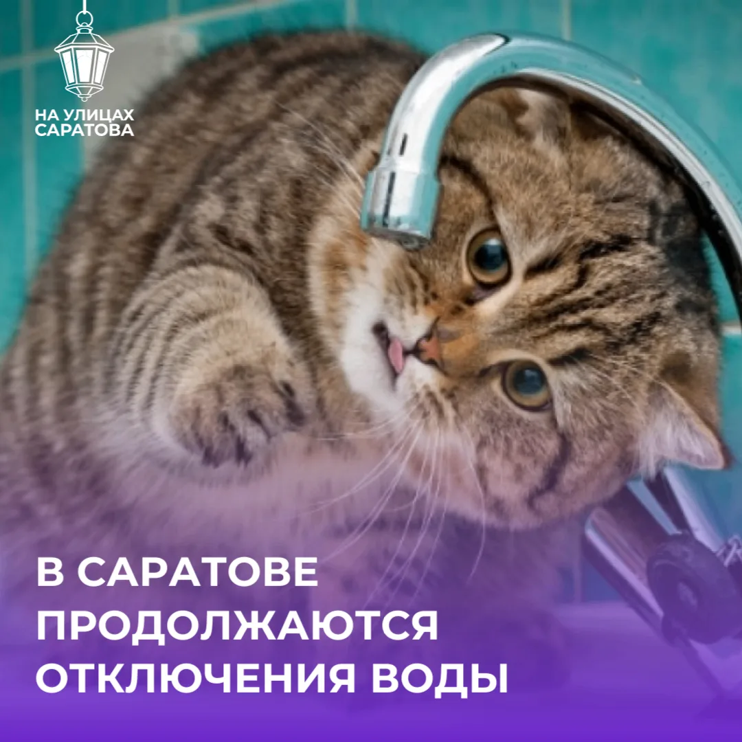 😱Саратов опять без воды! Отключения продолжаются
 
Сегодня утром, 14 июня, горожане снова остались 