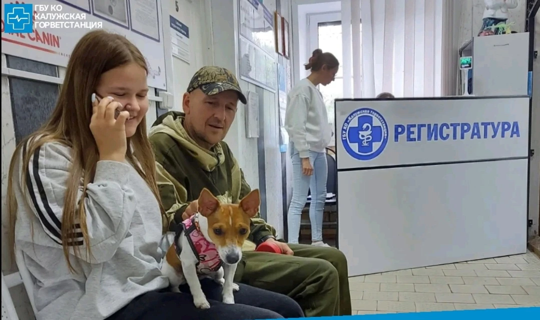 Знакомьтесь – собака Джек-рассел-терьер Лилу 2,5 года готовится к долгожданной поездке в Абхазию. Се