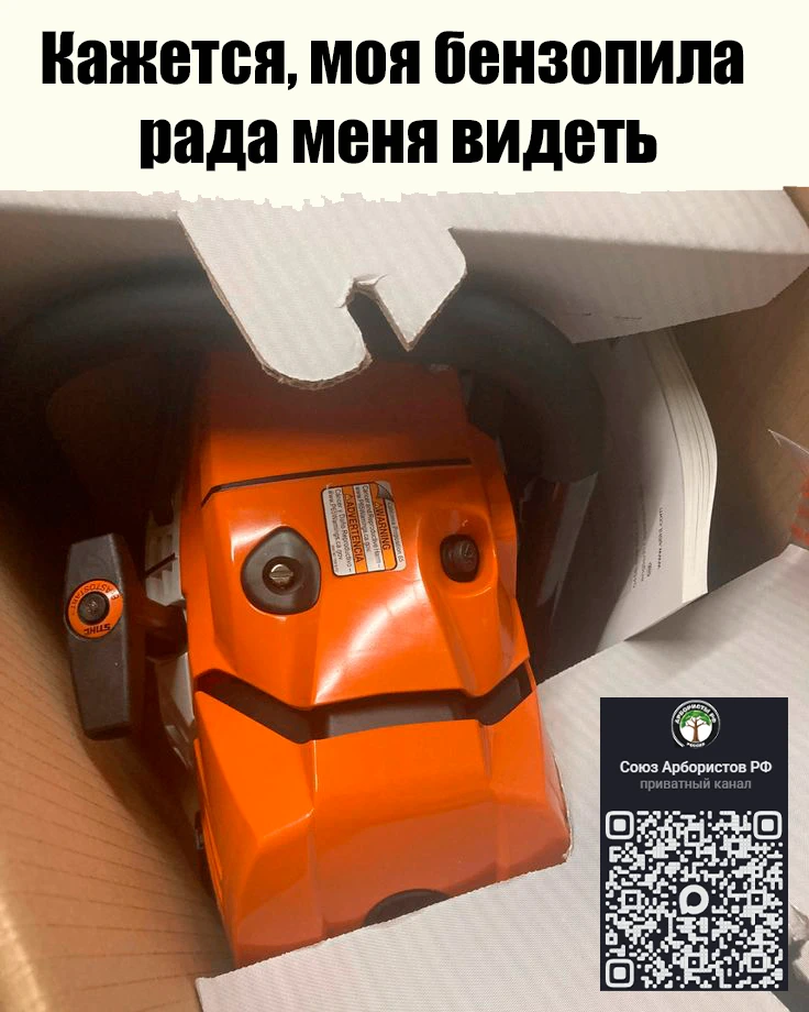 🌳 Я тут малость пропустил…