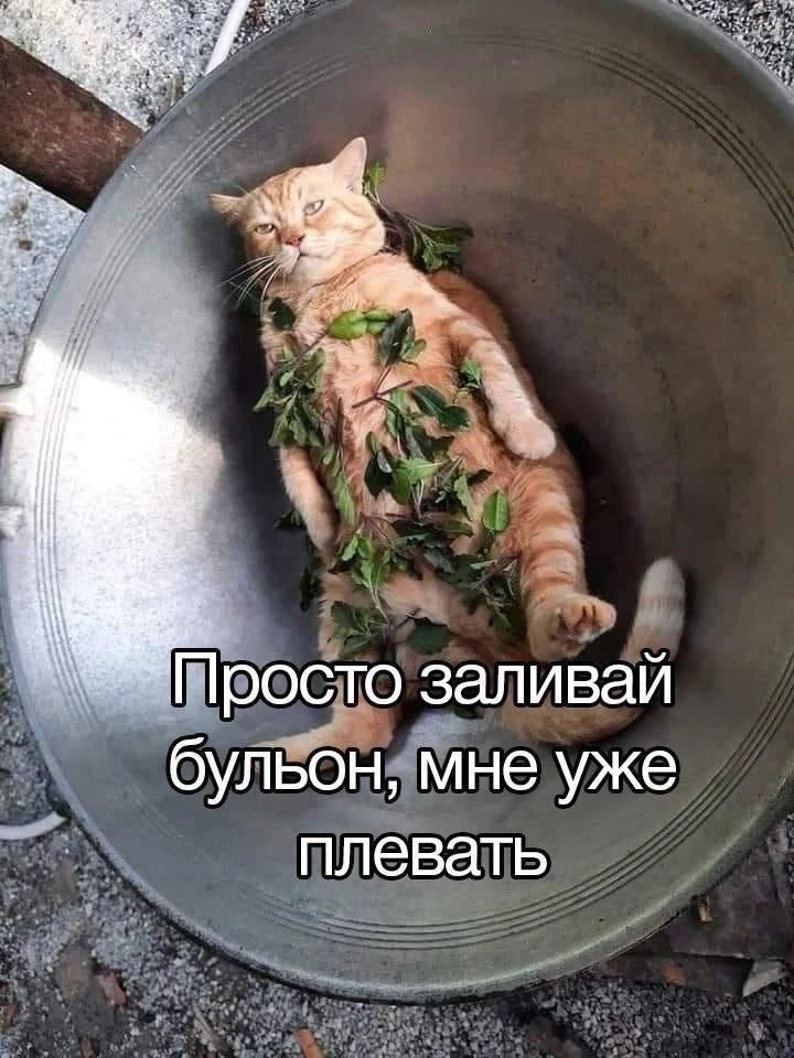 К концу рабочего дня 🥲