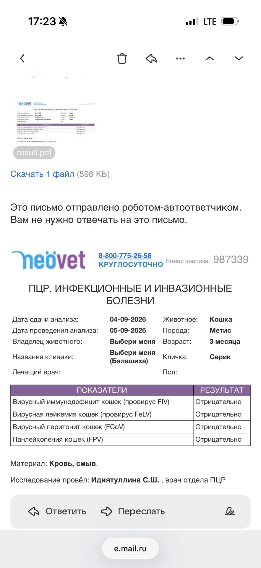 Как раз пришли анализы котят - все отрицательно🫶🏻 пора домой! Разбирайте котиков❤️‍🔥