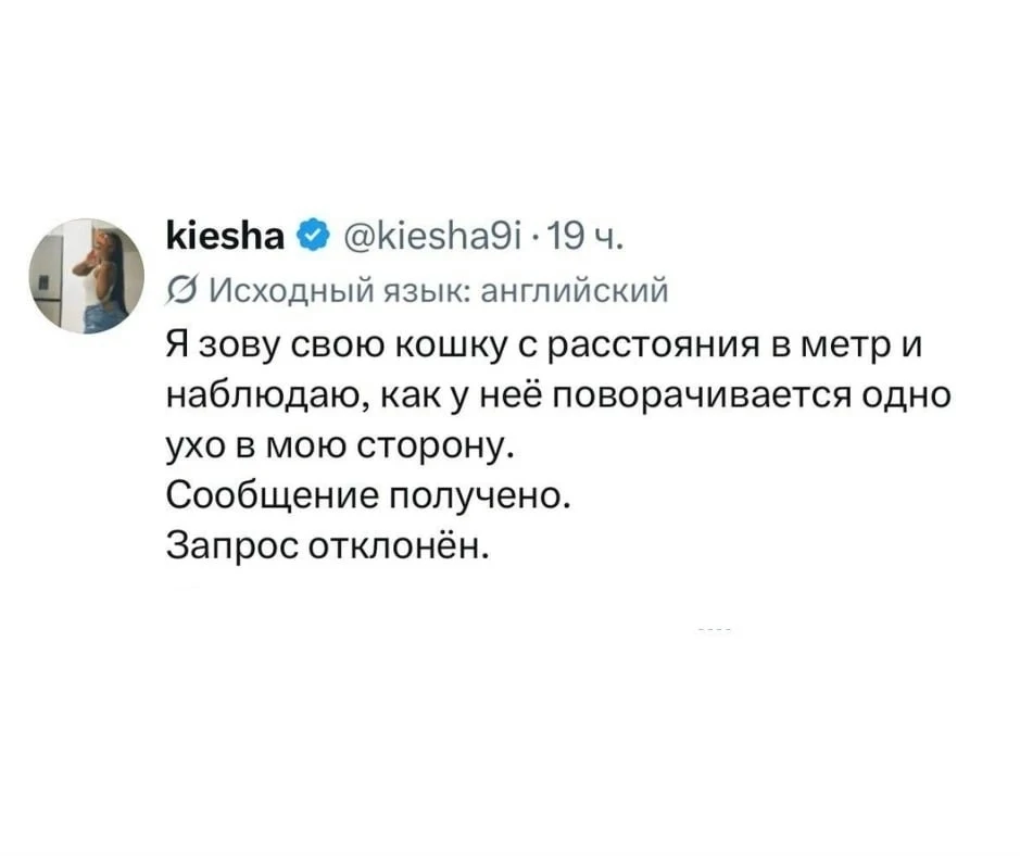 Доброе утро! Хорошего дня!