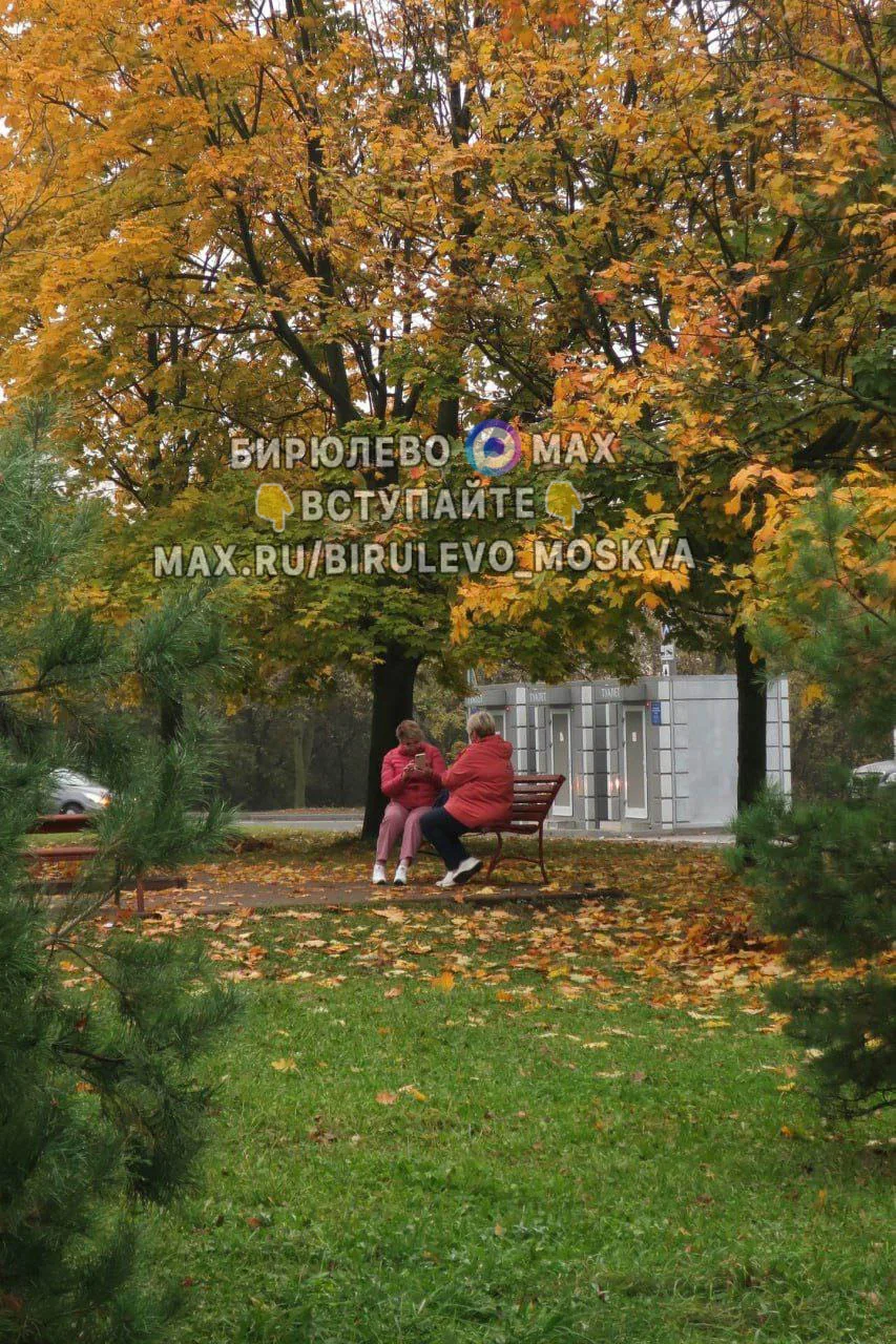 🍁Краски осени в Булатниковском проезде