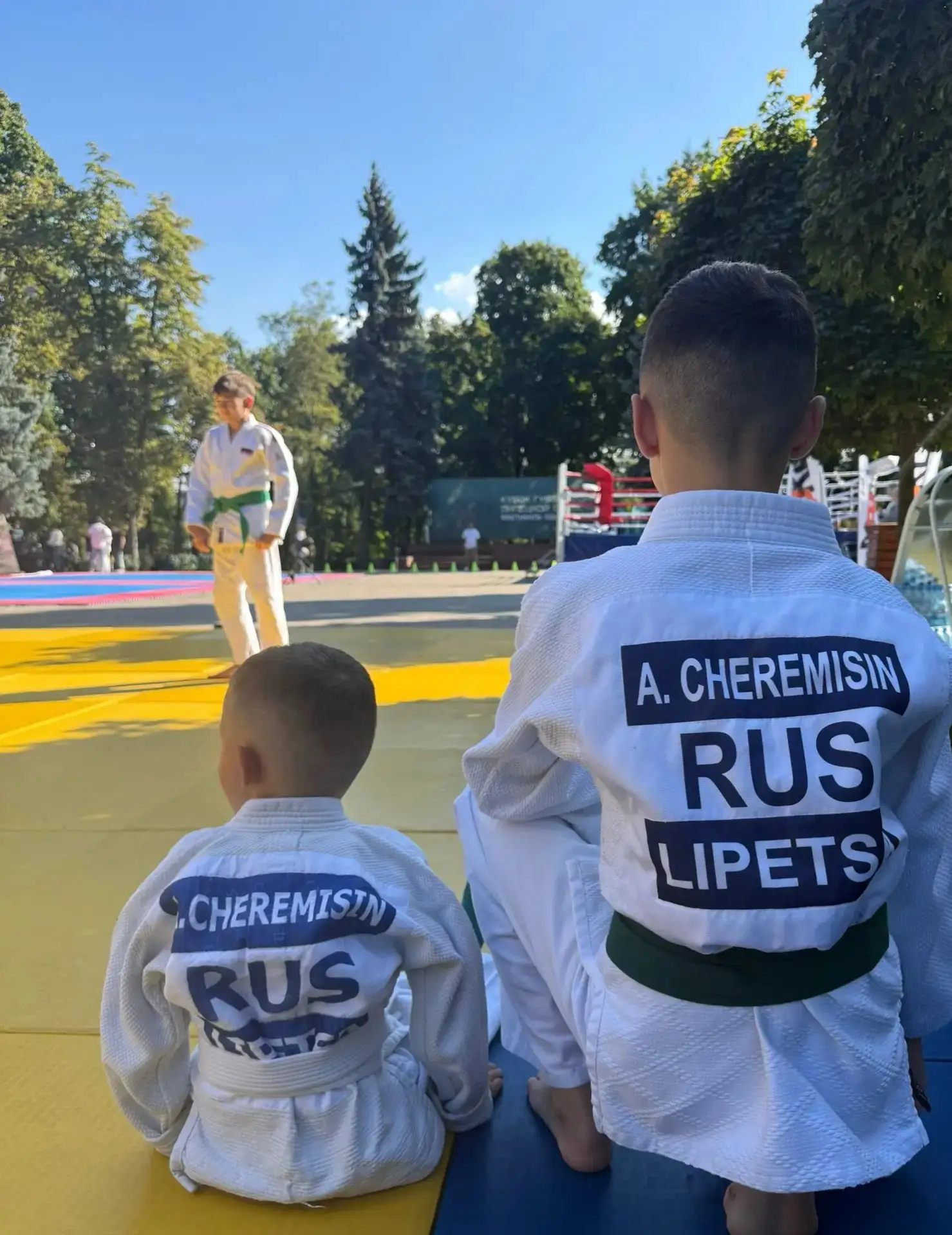 29 августа в Быхановом саду прошел фестиваль единоборств «Кубок Губернатора Липецкой об...