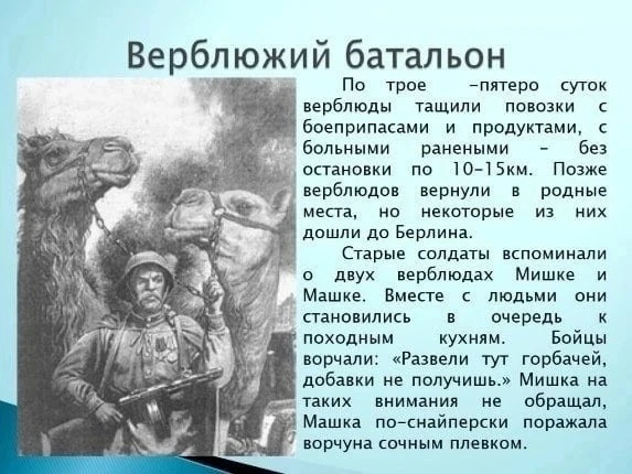 С ДНЕМ ПОБЕДЫ В ВЕЛИКОЙ ОТЕЧЕСТВЕННОЙ ВОЙНЕ!