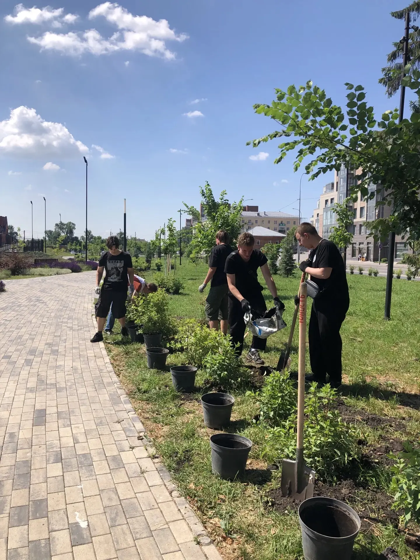 Сегодня на Набережной реки Сура прошла акция по посадке 363 гортензий, приуроченная к 363-летию наше