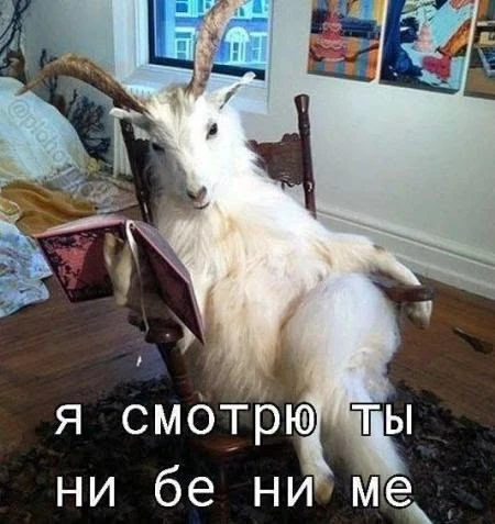 Надеюсь, это не про наших ребят, ведь они поддерживают язык летом♥️🥰🔥