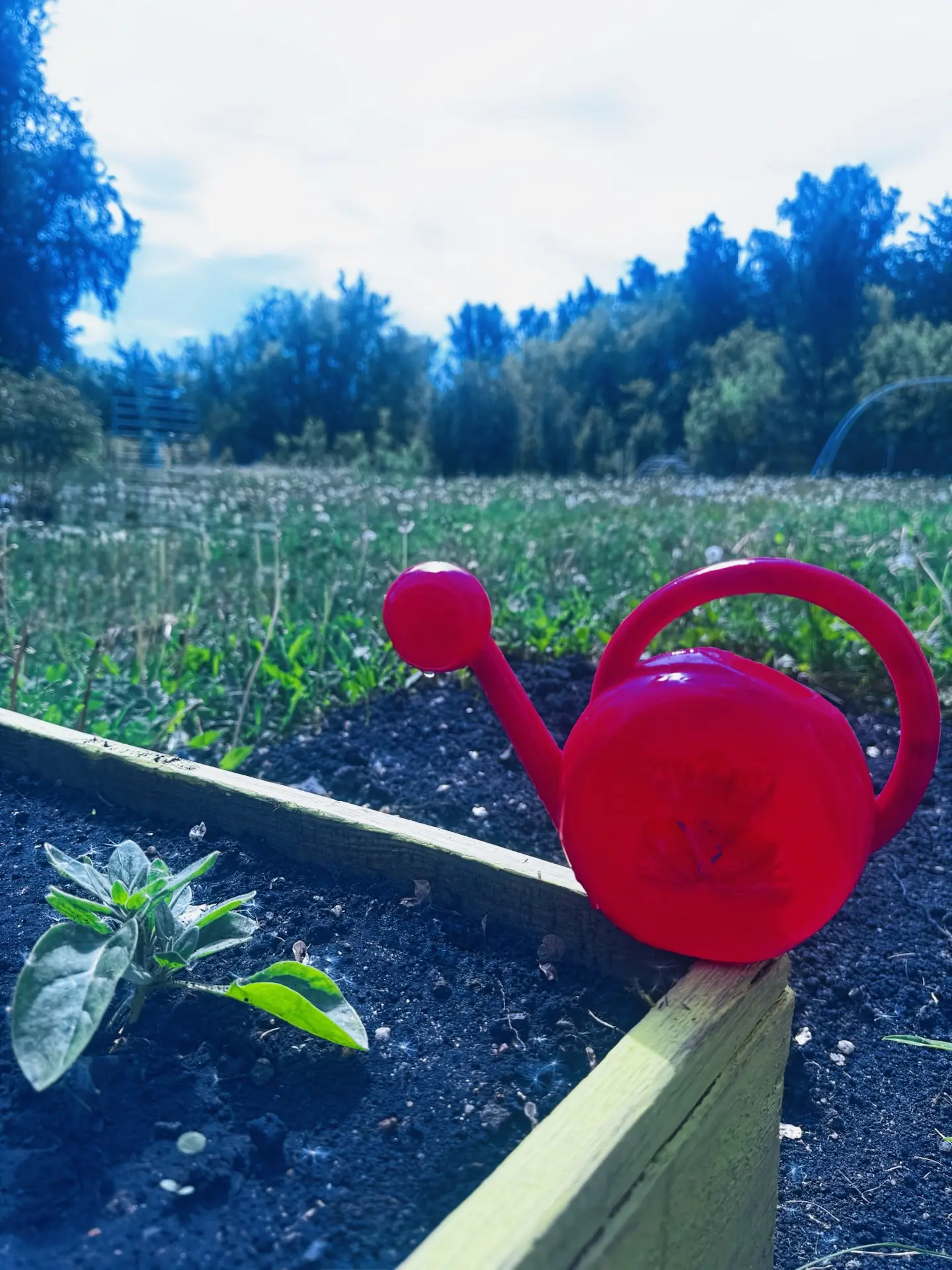 Приучение детей к труду!🌼🌸🌺🦋🪰🪲