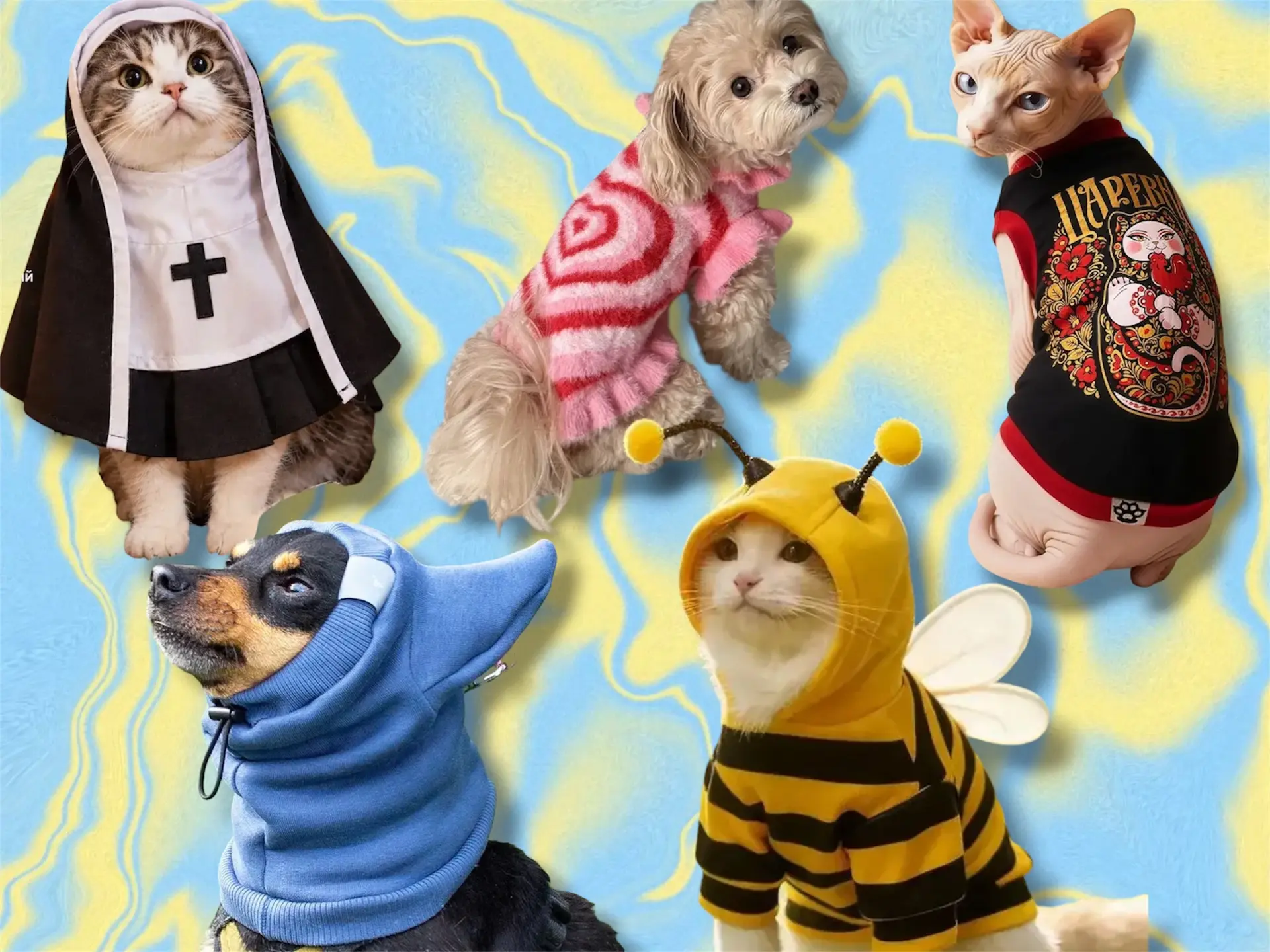Подборочка одежды для ваших питомцев с Вб 🐱
