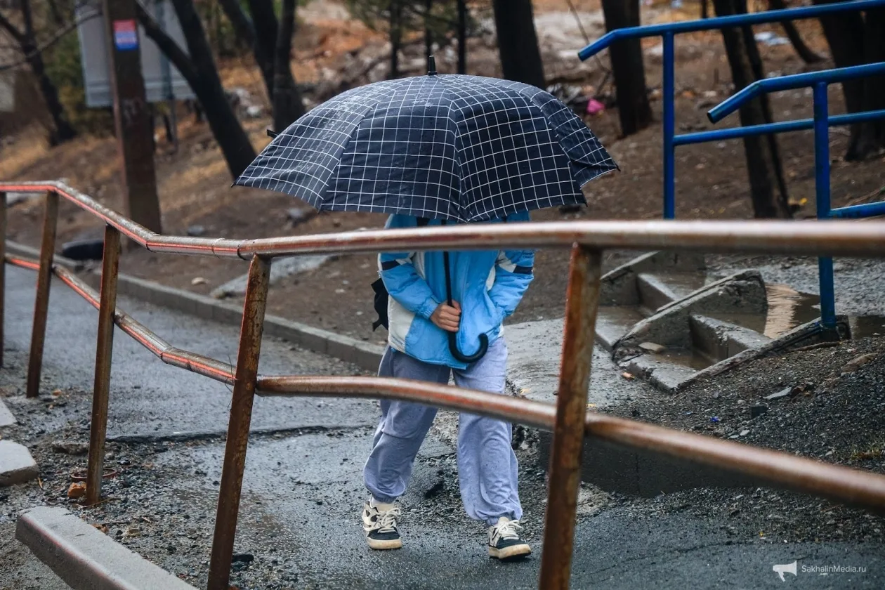 🌦 До +20°С — прогноз погоды в Сахалинской области на 26 августа