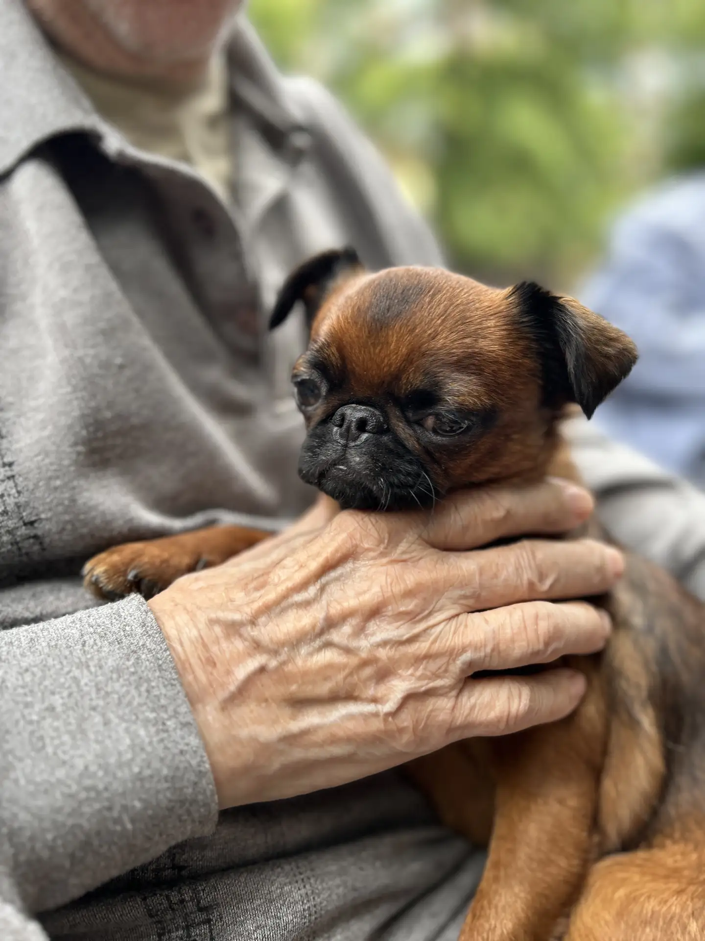 История о том, как Луша волонтером стала ❣️