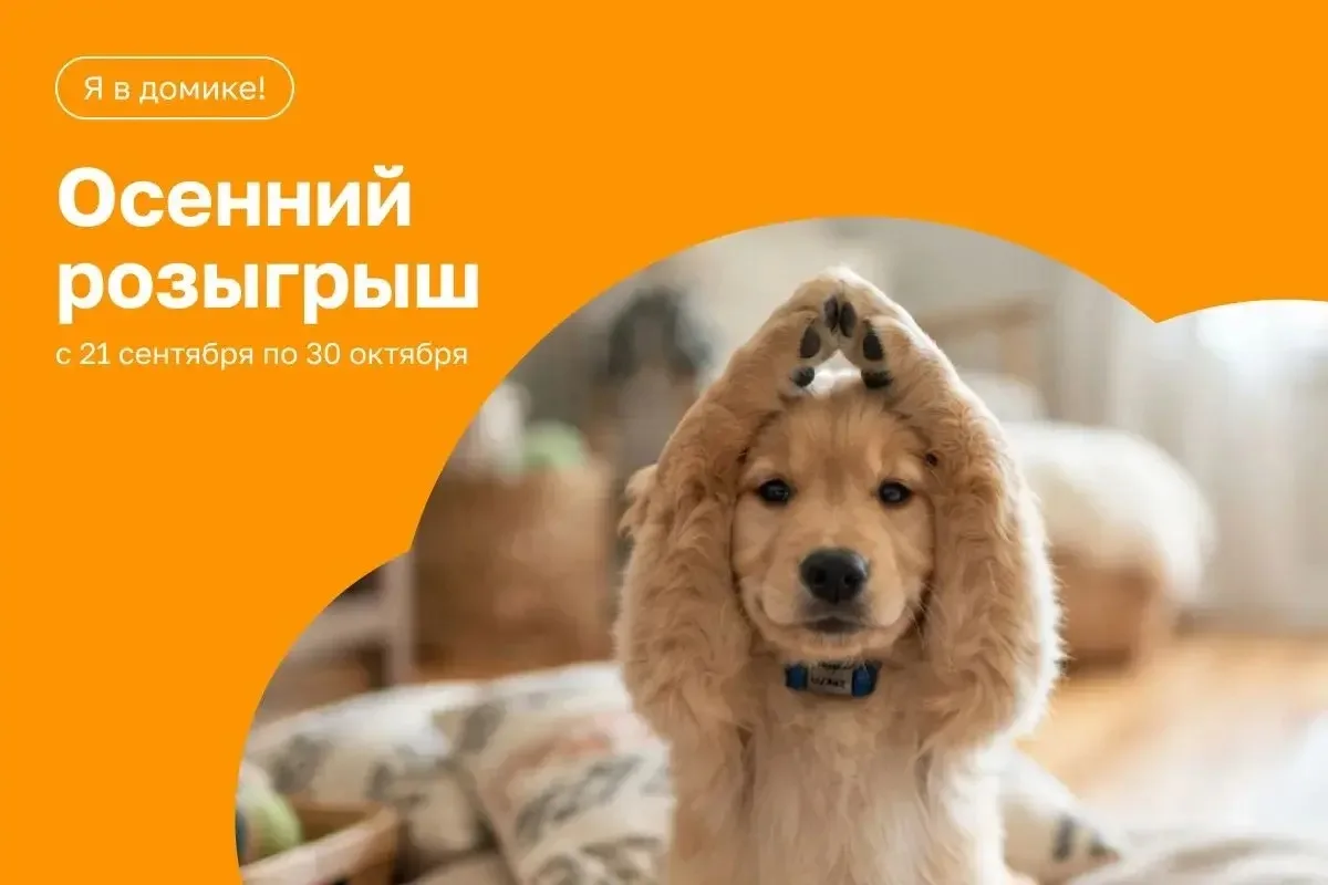 Ускользните от городской суеты в уютный домик на берегу Сылвы!