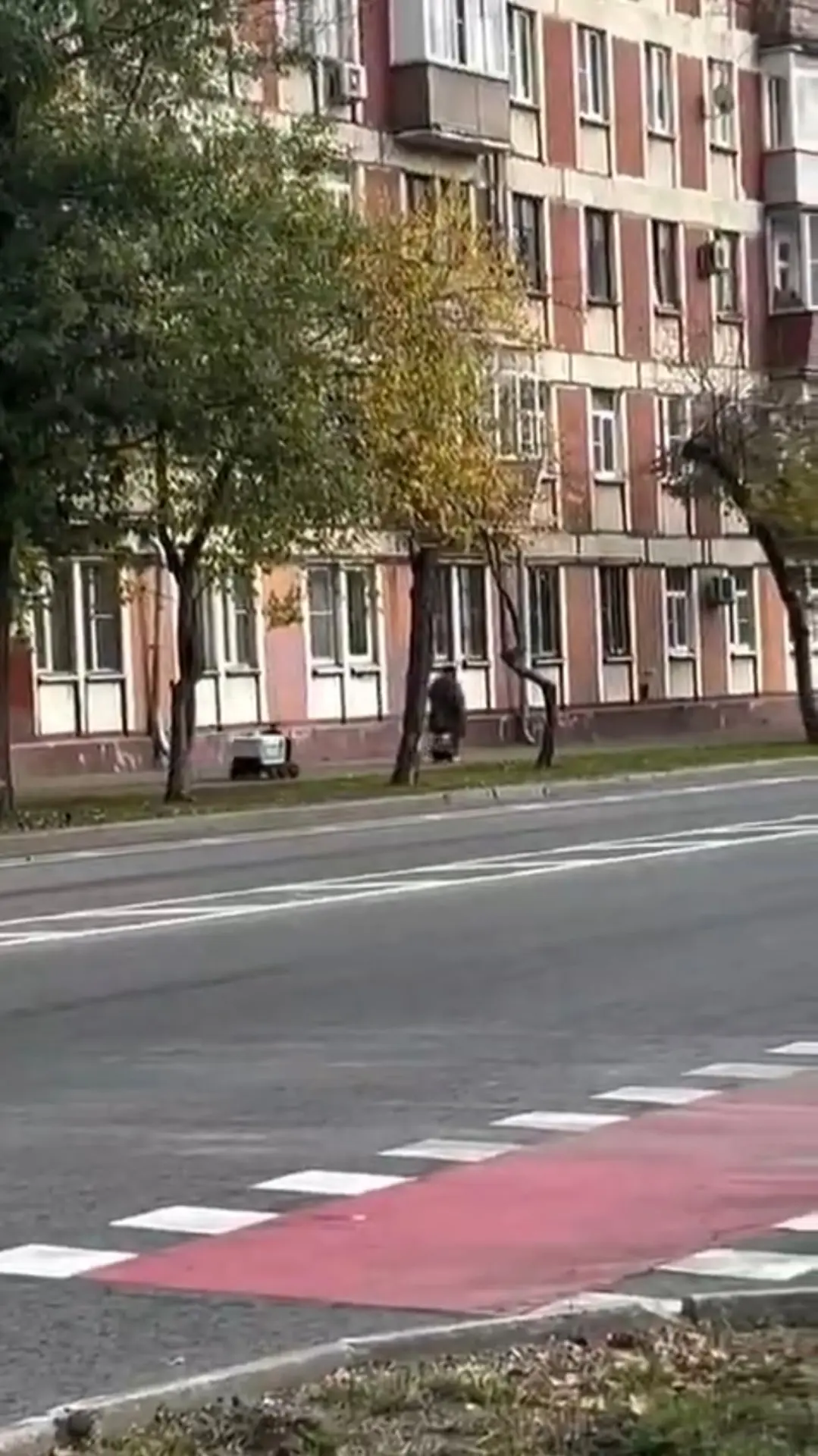 Восстание роботов. Начало😄