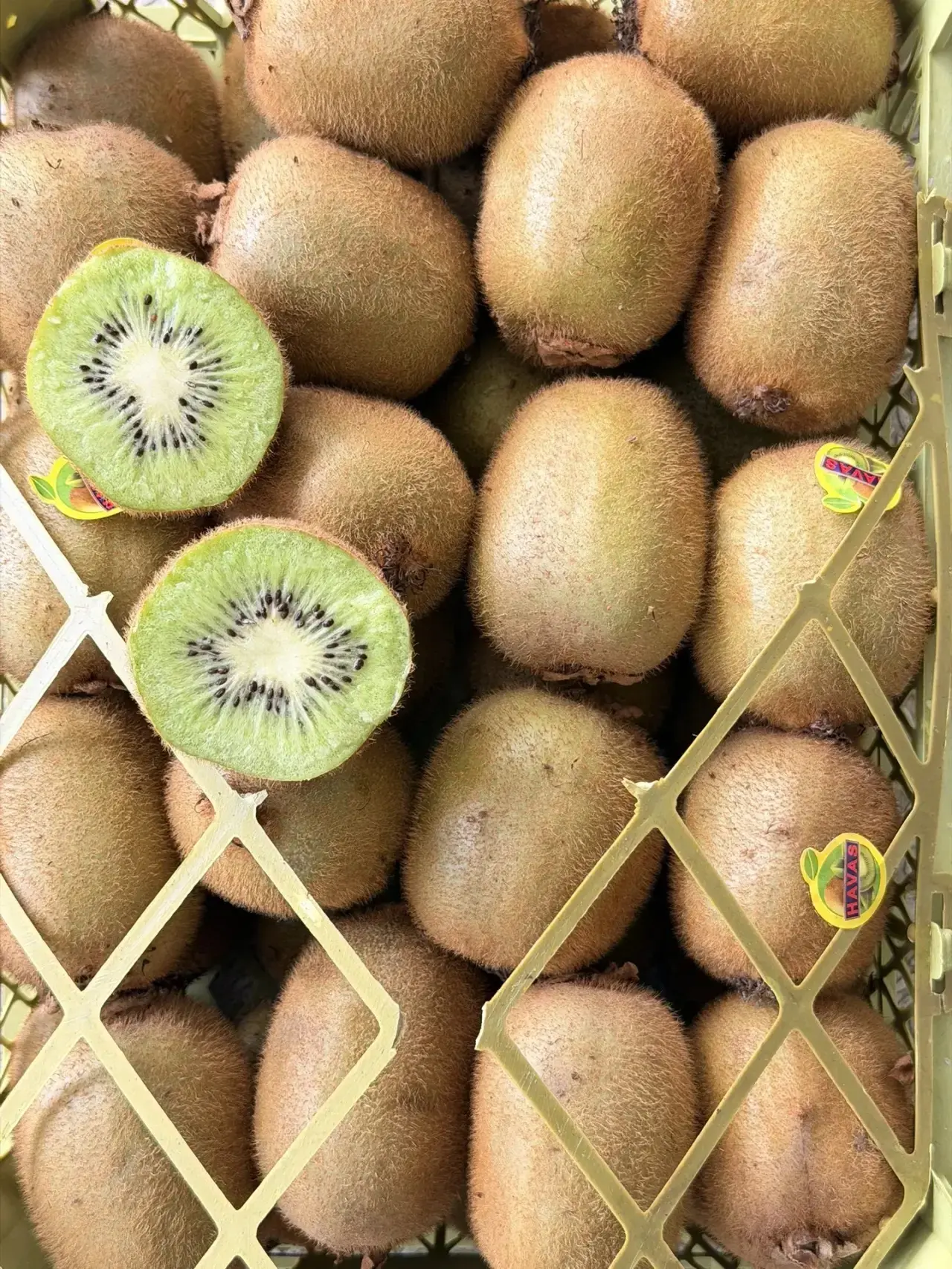 Наше киви 🥝
