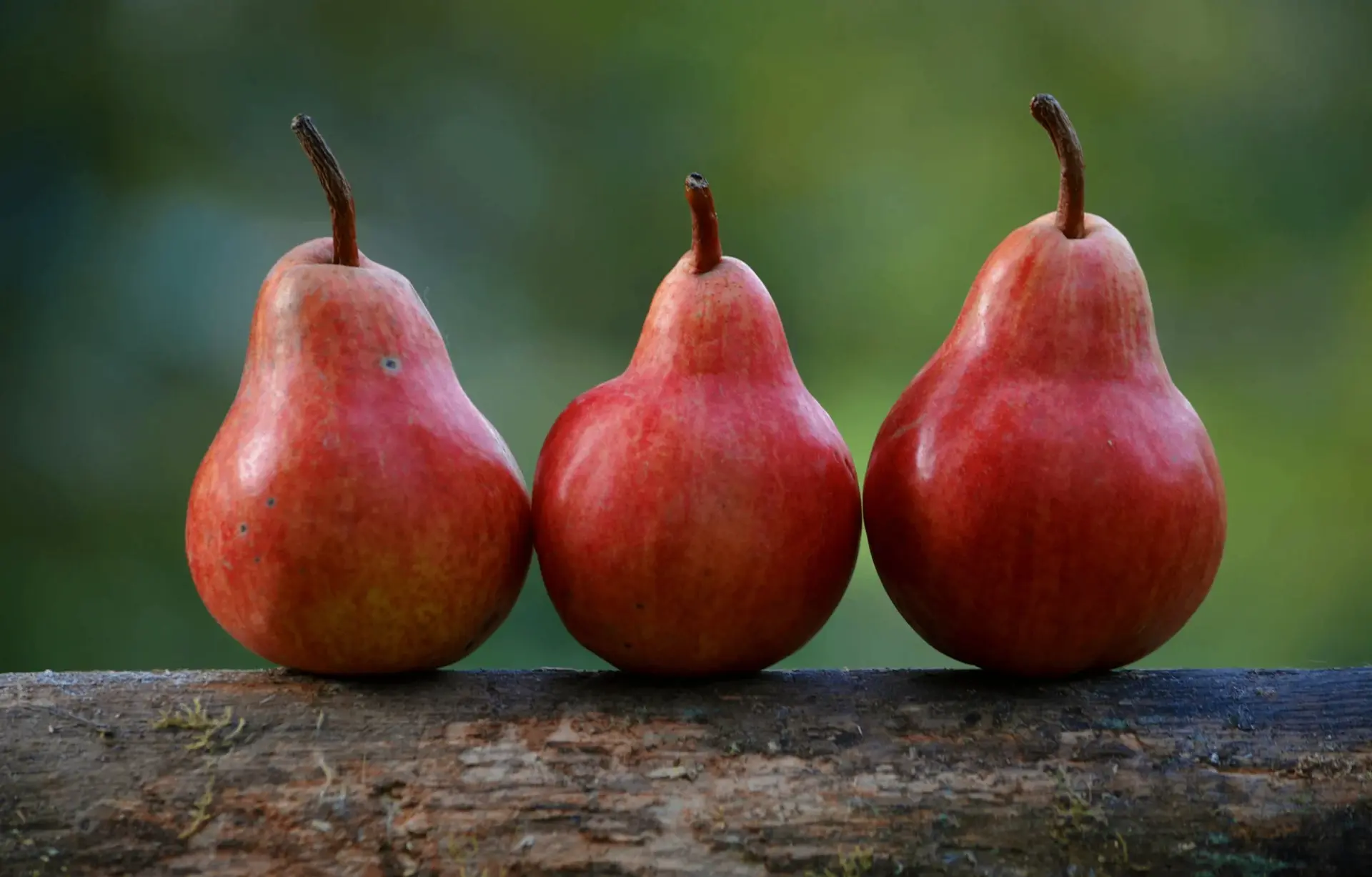 🍐 Народные приметы о груше