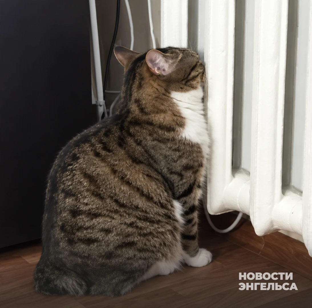 🥶 Жители Энгельса уже просят включить отопление