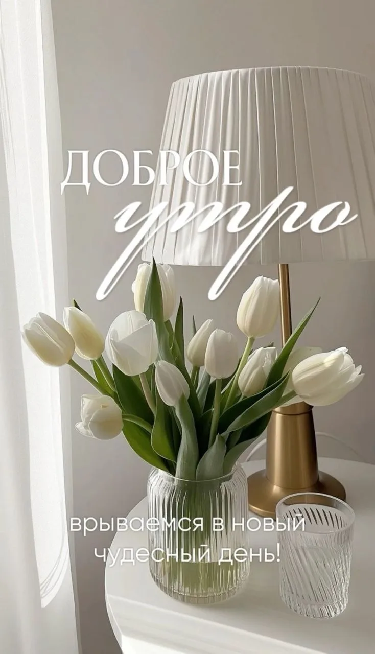 ✨Ждем ваши реакции✨