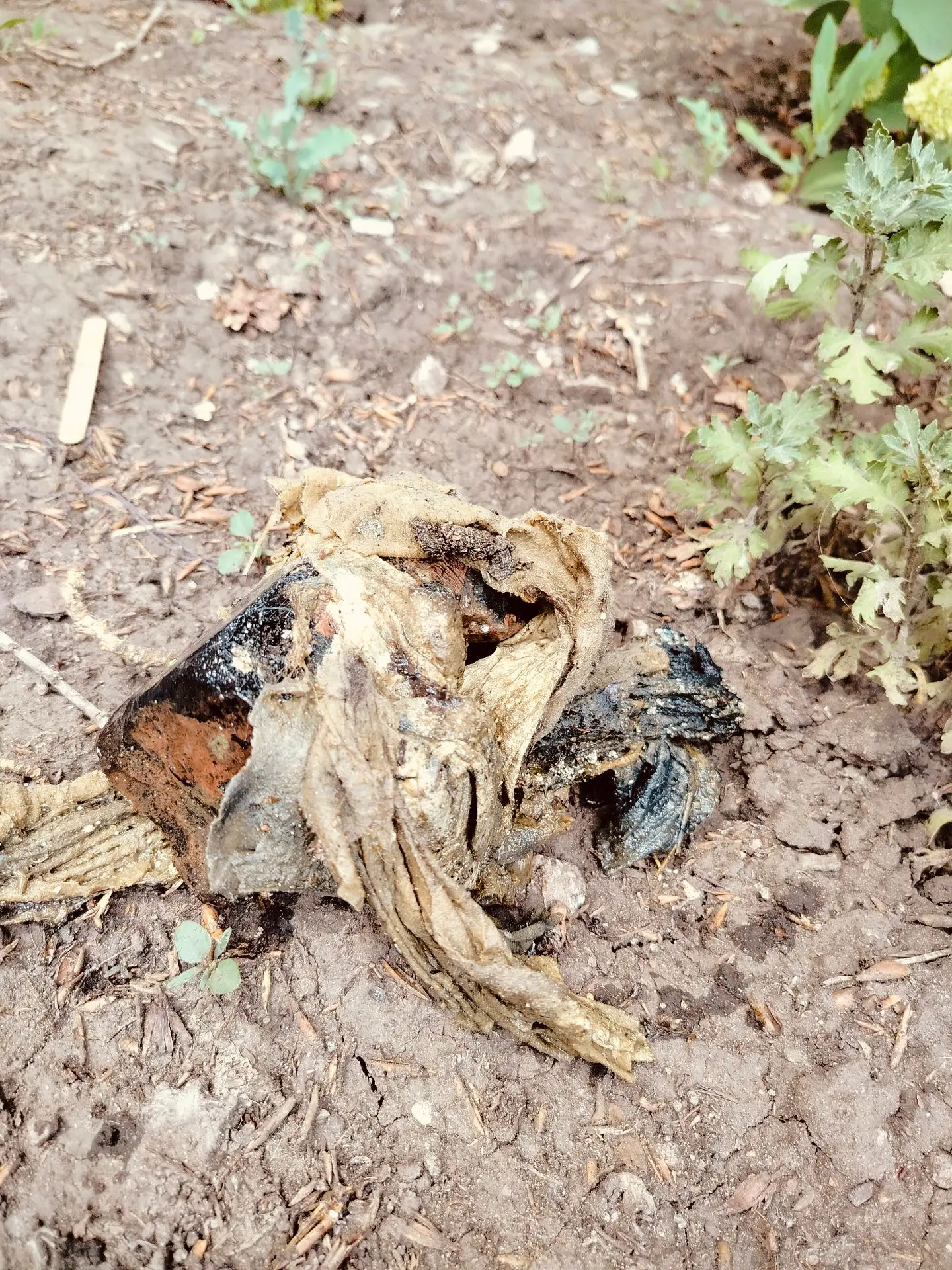 🆘Сегодня на ул. Гагарина, 65 водоканал устроил настоящую археологическую раскопку. Что нашли в кана