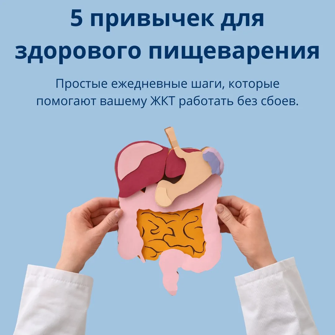 Всемирный день здорового пищеварения — повод напомнить о том, что здоровье ЖКТ это не п...