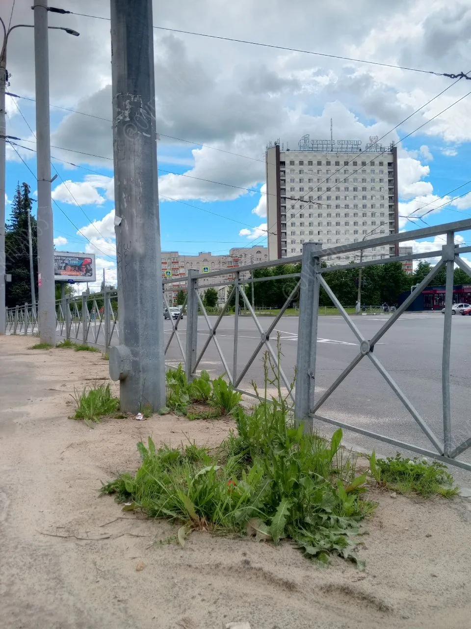 В песке уже травка подрастает. Ещё пару лет и будет пляж с барханами. Куда делись дворн...