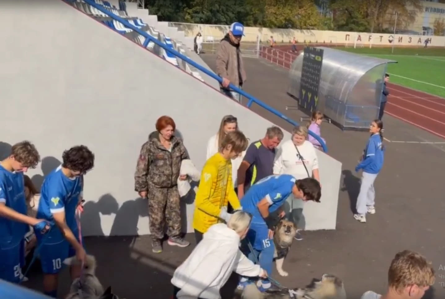 В воскресенье, 4 октября, в Международный день защиты животных, неравнодушные брянцы из...
