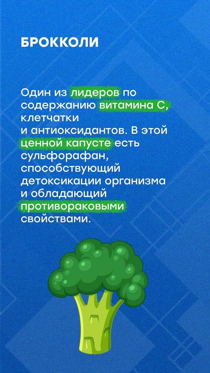 НТВ-Петербург в МАКС