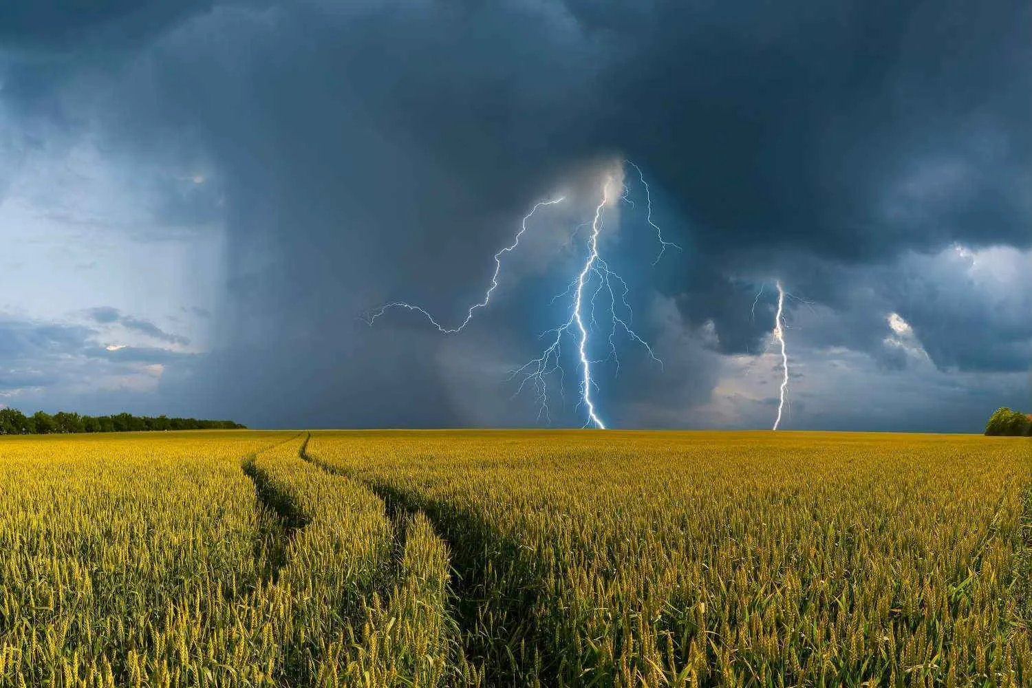 ☂️💧💨По прогнозу Хакасского гидрометцентра, с 25 по 26 августа по республике Хакасия о...