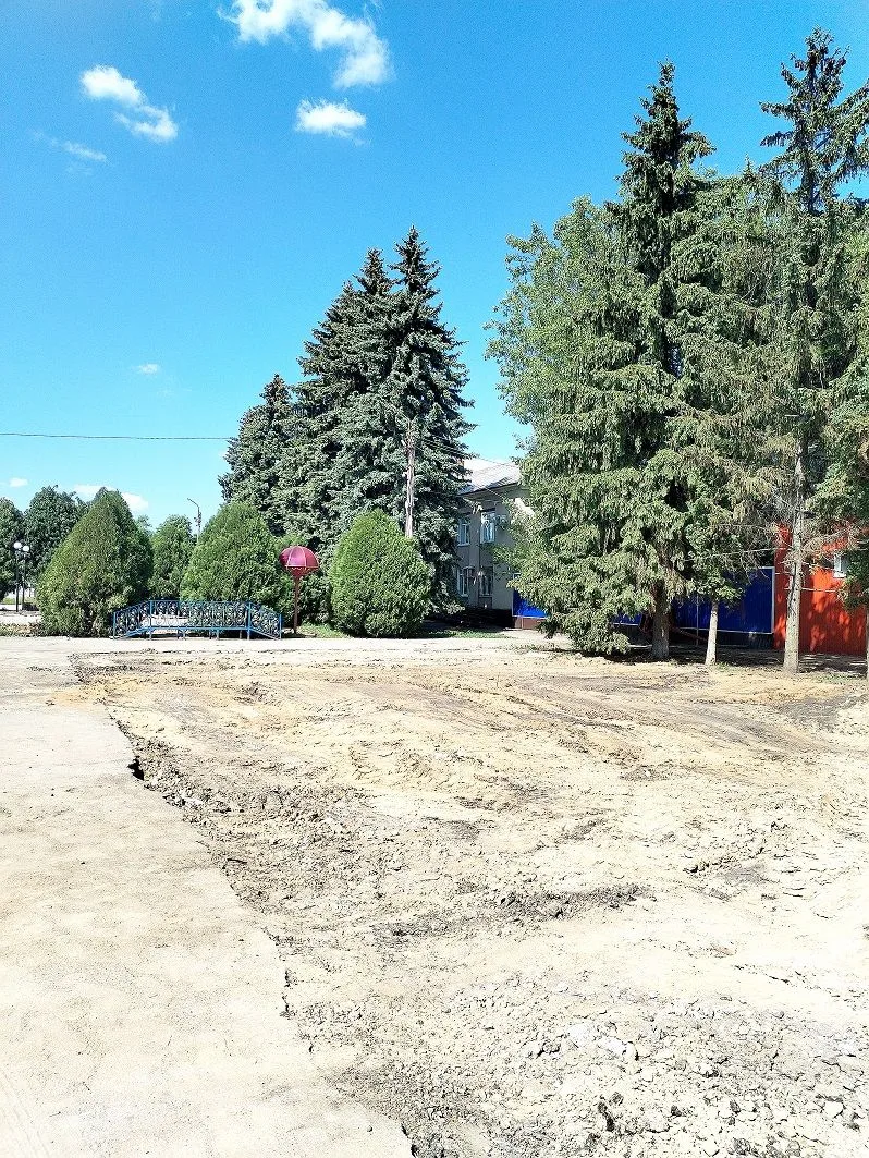 Осенью придём взглянуть, оценить и отдохнуть