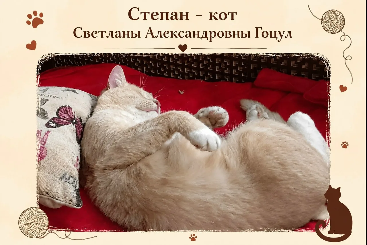 Говорят, учителя слишком строгие. Но если бы вы видели, кто нами реально управляет вне ...