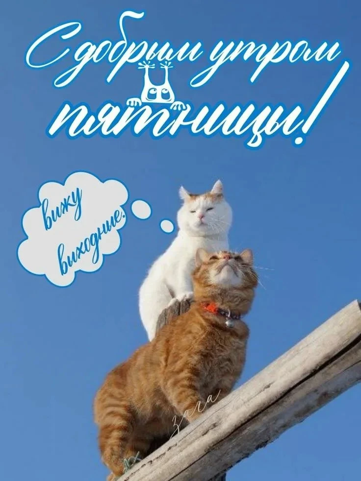 Доброе утро! ☀️

🌡 Сегодня 19 июня, пятница   
Температура воздуха   +19 до +25 °C

Переменная обла