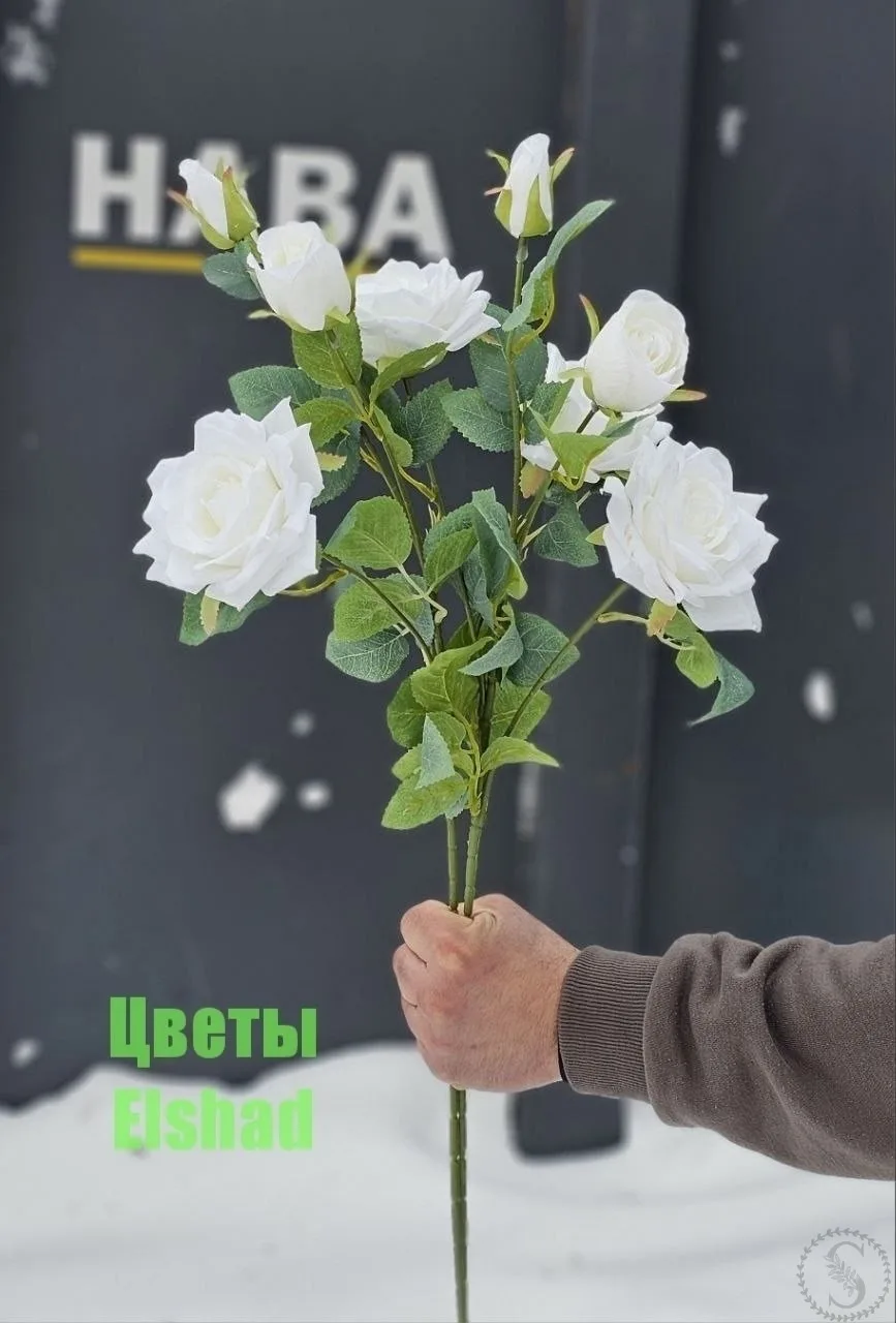 https://vk.com/photo-184814919_493609396