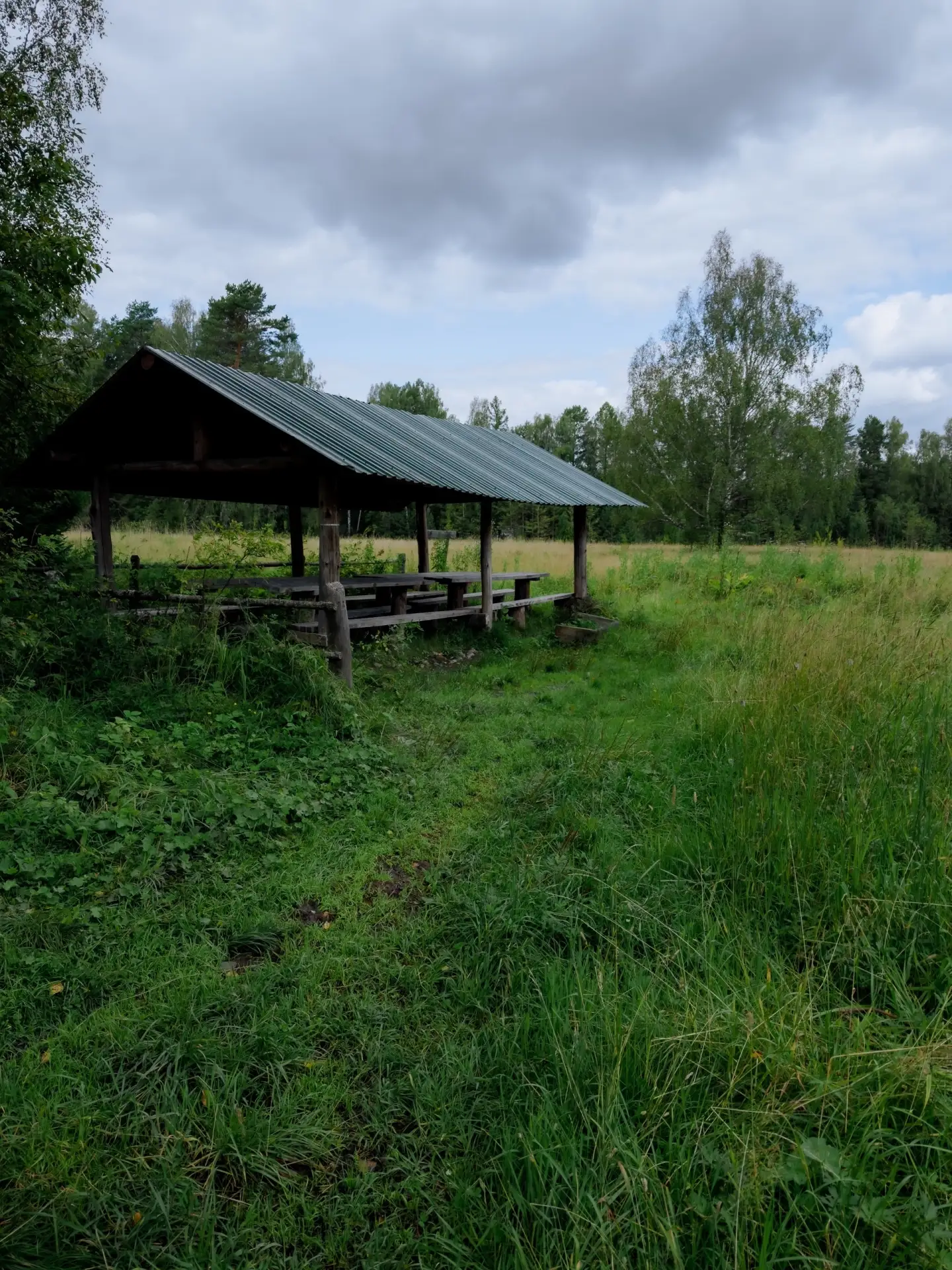 Продолжение прогулки в природном парке «Оленьи ручьи»🛘🌿