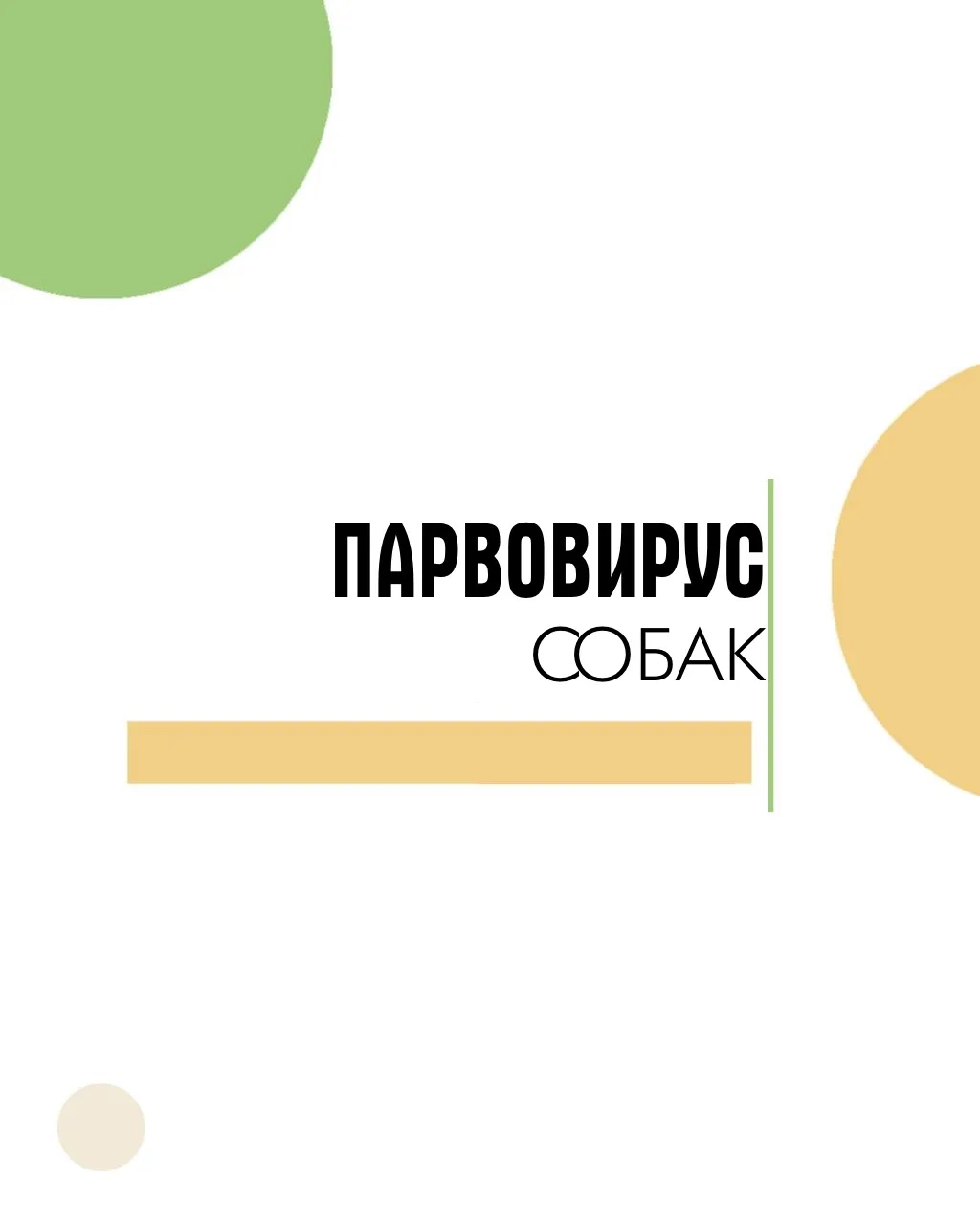🚨 Парвовирус собак: коротко о главном