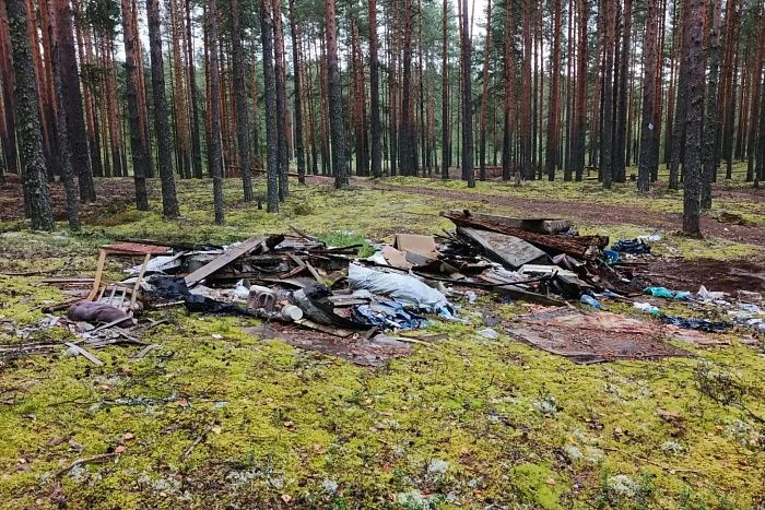 Кировские леса очистили от 25 свалок