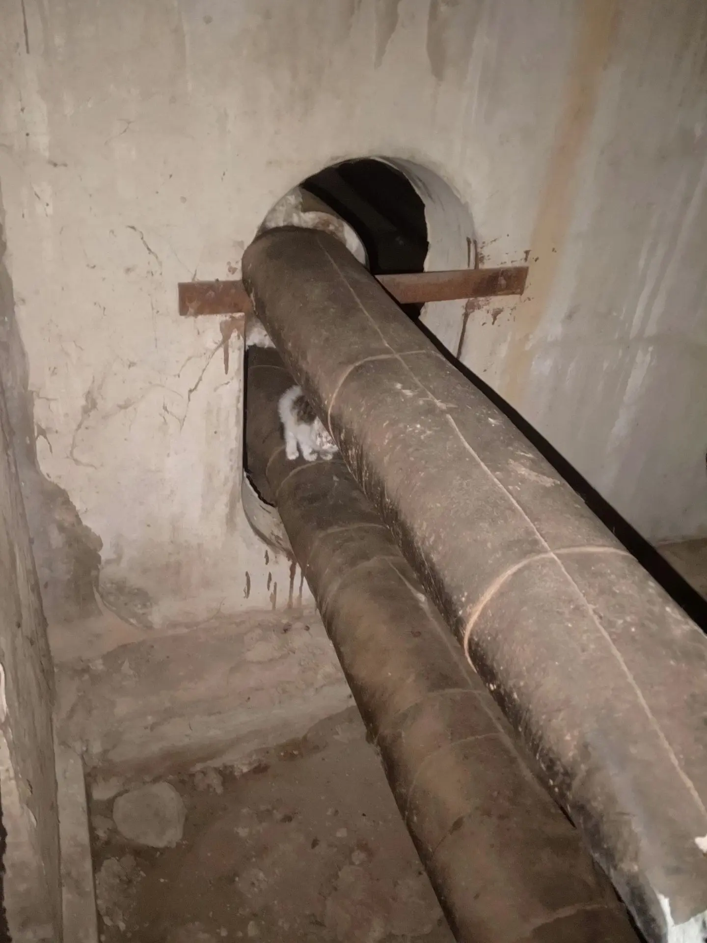 🆘СРОЧНО ❗ 
Люди добрые, ради Бога, помогите! 🙏
Малышу нужна помощь — я уже из сил выбилась, но сам