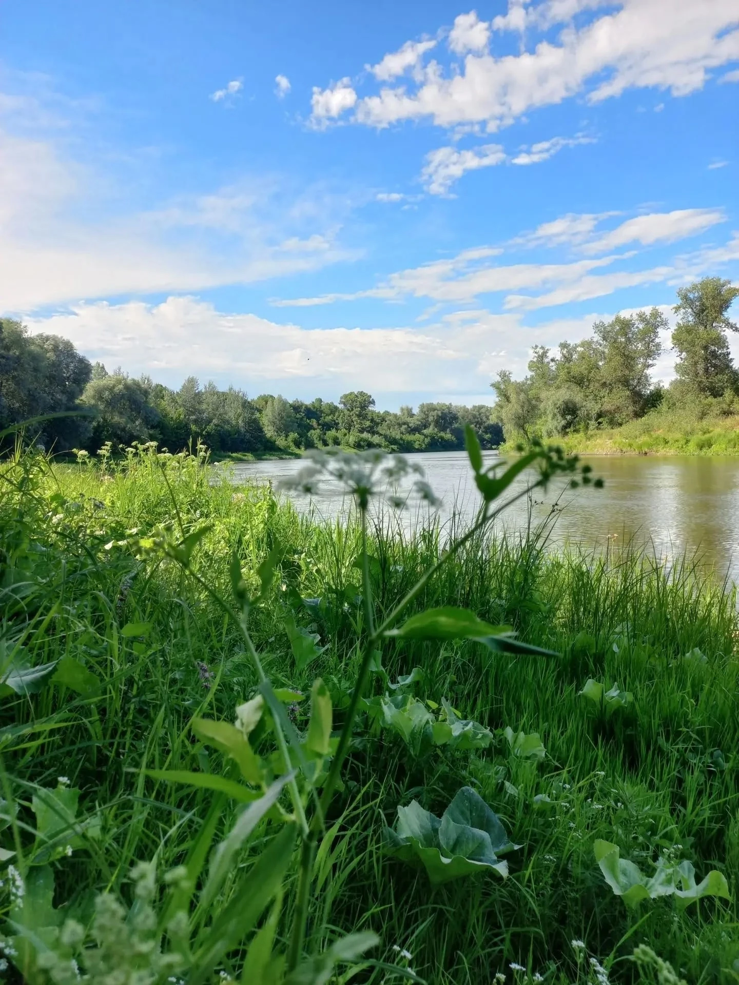 Доброе утро, музейные люди! 🌞