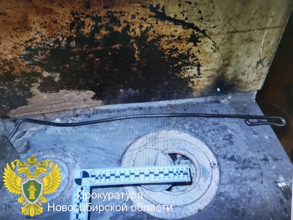 ⚡️В Новосибирской области перед судом предстанет местный житель за причинение тяжкого вреда здоровью