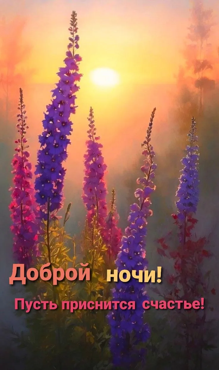 #АГС_Пожелания_на_ночь