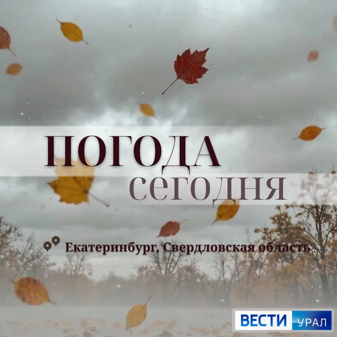 О погоде на воскресенье ⬇️