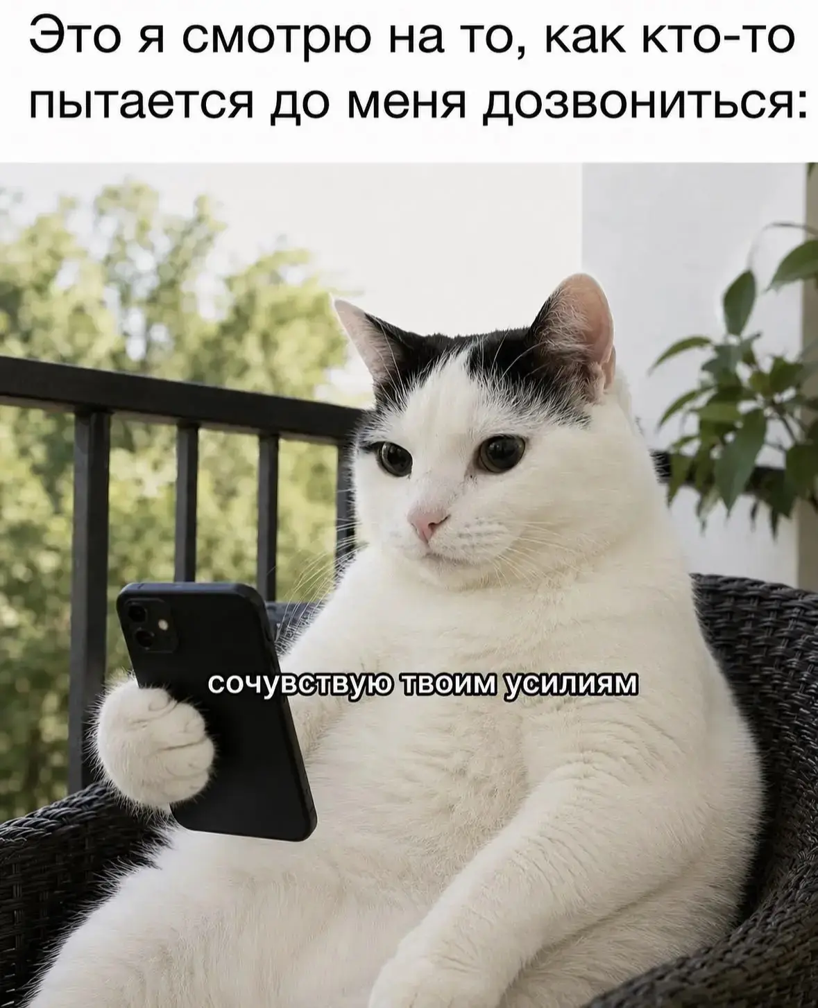 Очень жаль