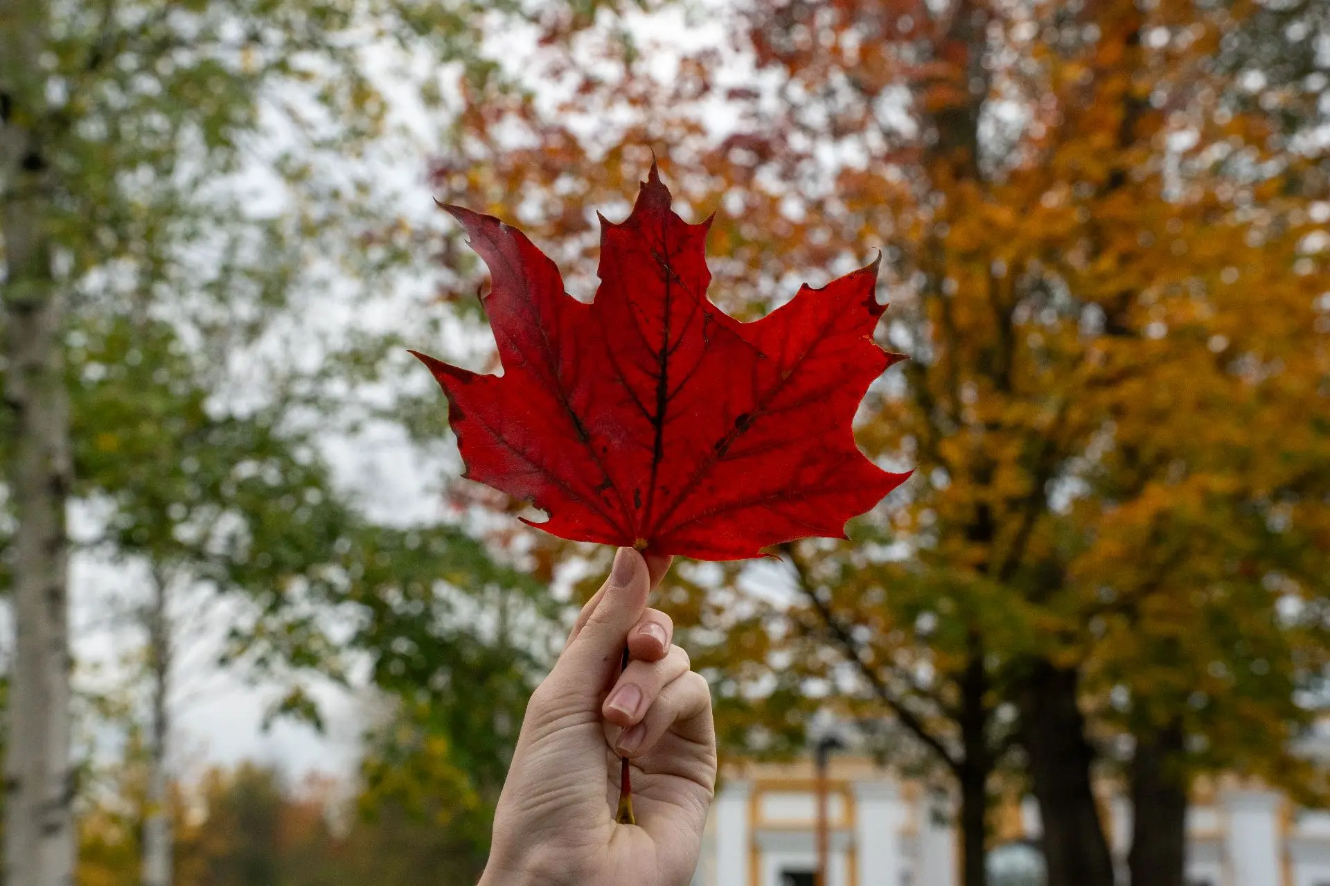 🍂 Осень диктует свои правила, но мы всё равно в движении! Вот и наступил второй день н...