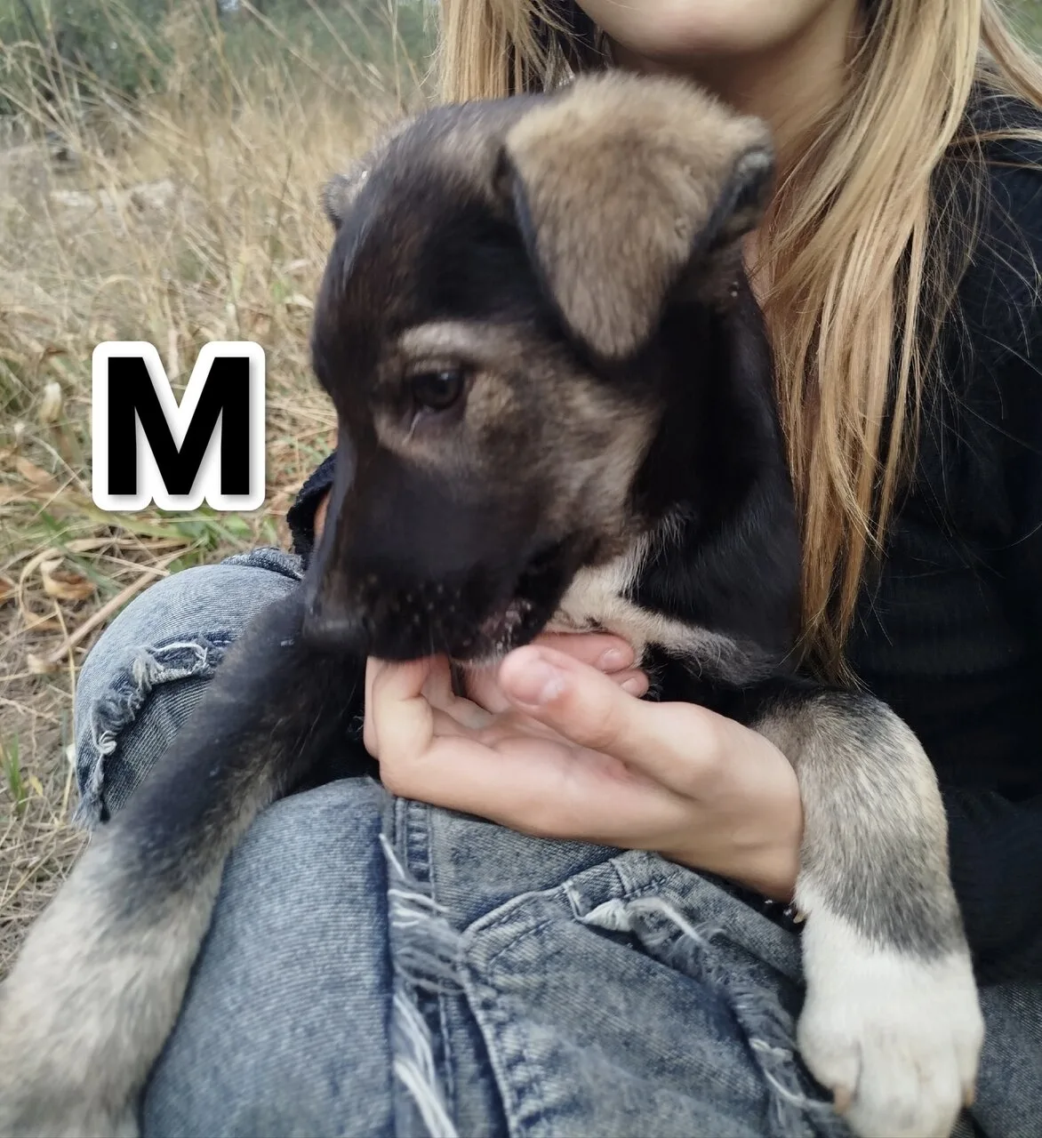 Алчевск.ЛНР.